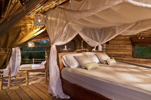 Treehouse Suite