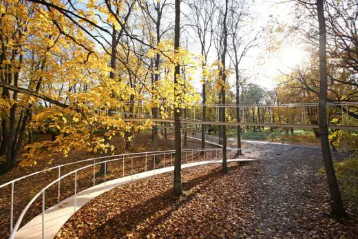 A Path in the Forest of Kadriorg