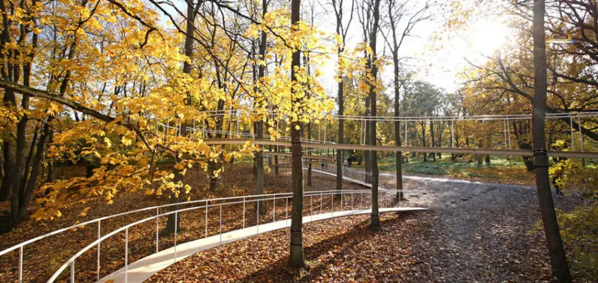 A Path in the Forest, Tallinn