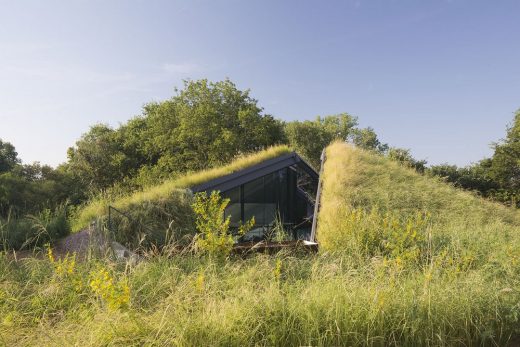 Edgeland Residence in Austin