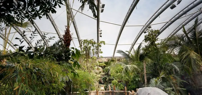 Islands at Chester Zoo Building