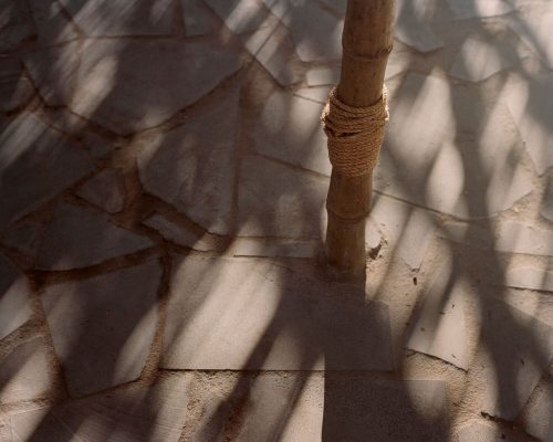 MPavilion building by Bijoy Jain