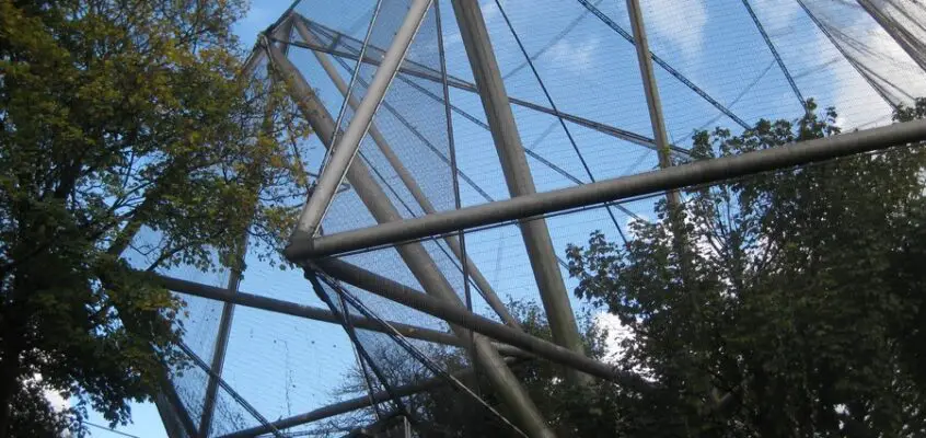 London Zoo Buildings: Regent’s Park Architecture