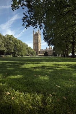 Victoria Tower Gardens London photo