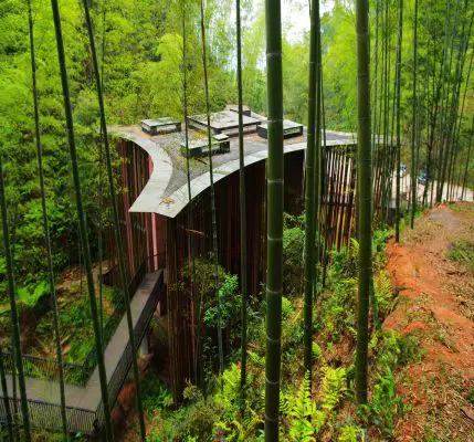 Bamboo Gateway in Guizhou