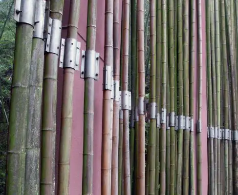 Bamboo Gateway in Guizhou