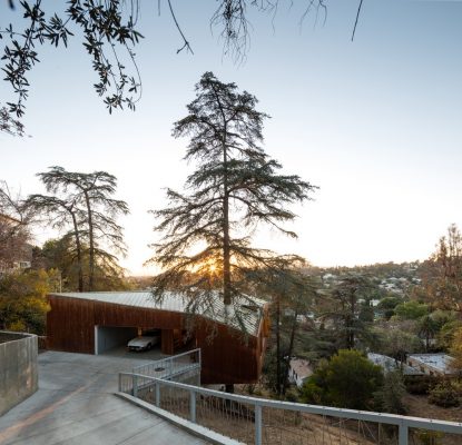 House in Trees