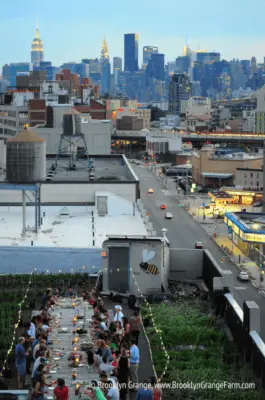 Navy Yard rooftop farming New York