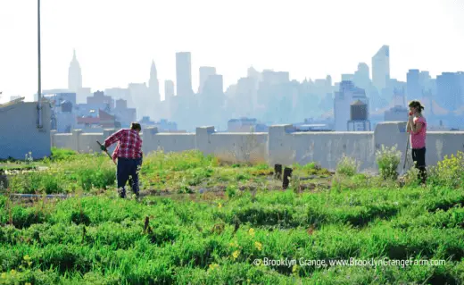 Brooklyn Navy Yard farm gardening