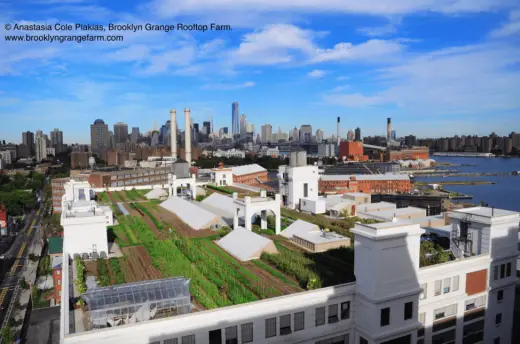 Brooklyn Navy Yard farm