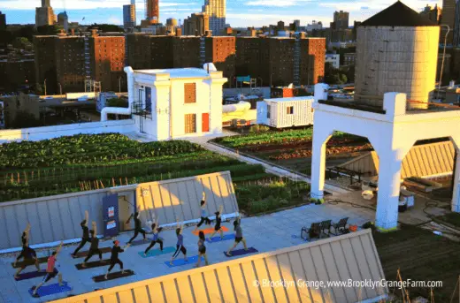 Brooklyn Grange Farm yoga