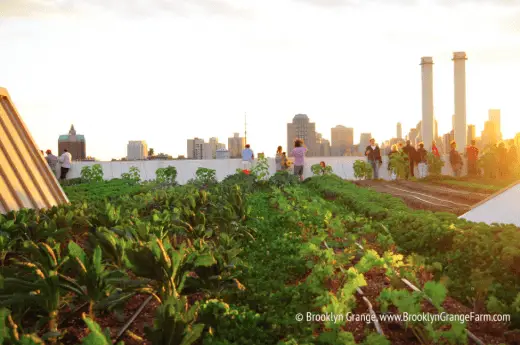 Brooklyn Navy Yard farm NY