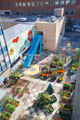 Edible Schoolyard at P.S.7. East Harlem