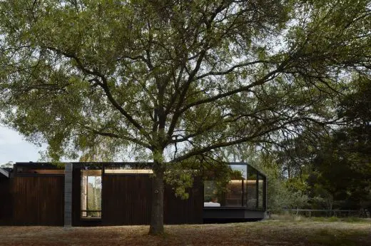 A Pavilion Between Trees