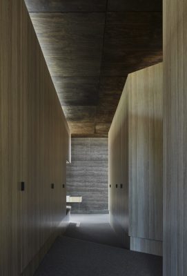 A Pavilion Between Trees