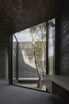 A Pavilion Between Trees