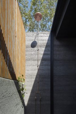 A Pavilion Between Trees