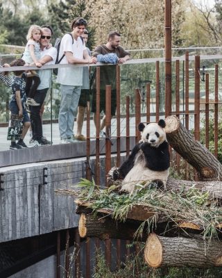 Panda House Copenhagen Zoo