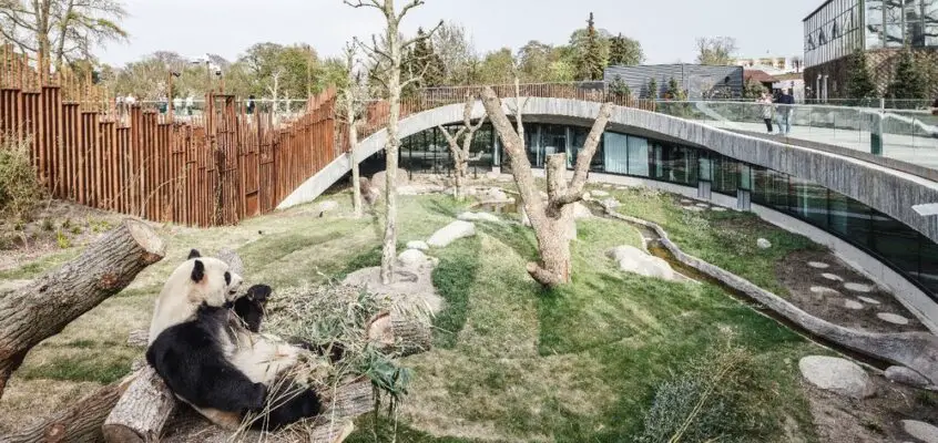 Panda House in Copenhagen Zoo, Denmark