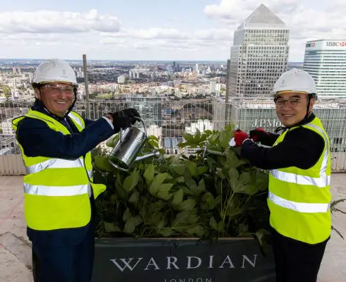 Wardian London Luxury apartment plants