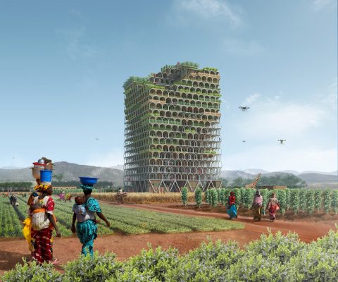 Mashambas Skyscraper - African Architecture News