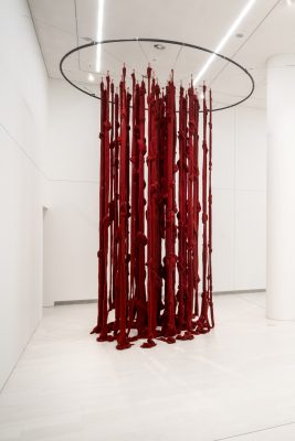 Cecilia Vicuña, Quipu Womb