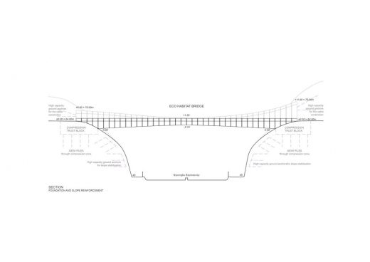 Eco Bridge Design Competition in Seoul