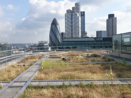 City of London green roof