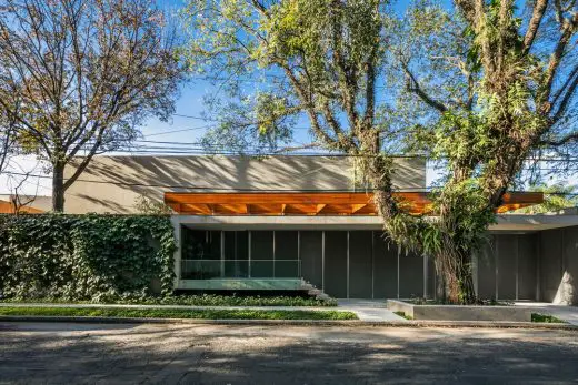 House Built Around a Tree