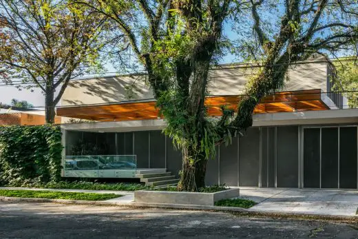 House Built Around a Tree