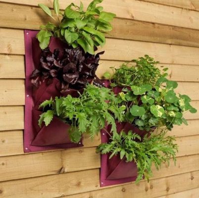 Vertical herb garden