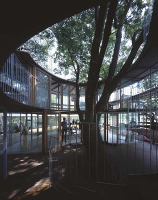 Fuji Kindergarten building around a tree in Japan