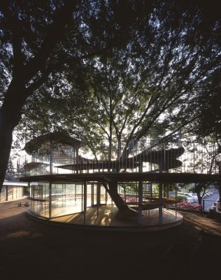 Fuji Kindergarten building around a tree in Japan