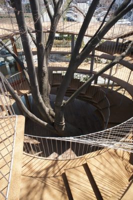 Fuji Kindergarten building around a tree in Japan