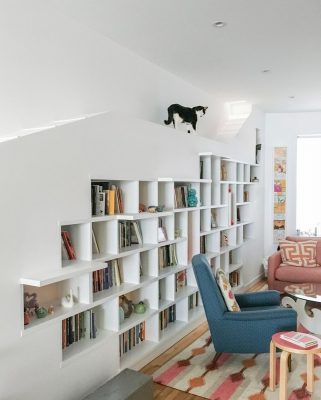 House for Booklovers and Cats