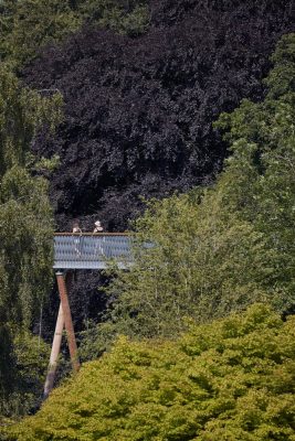 Stihl Treetop Walkway by Glenn Howells Architects RIBA Client of the Year 2017