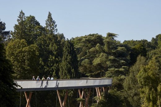 Stihl Treetop Walkway by Glenn Howells Architects