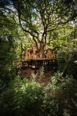 Woodsman’s Treehouse Dorset, England