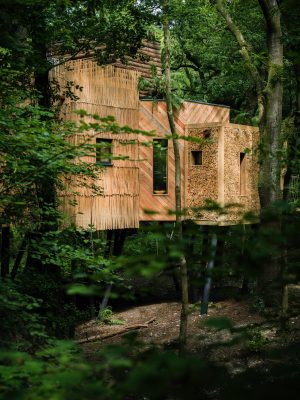 Woodsman’s Treehouse West Dorset, England