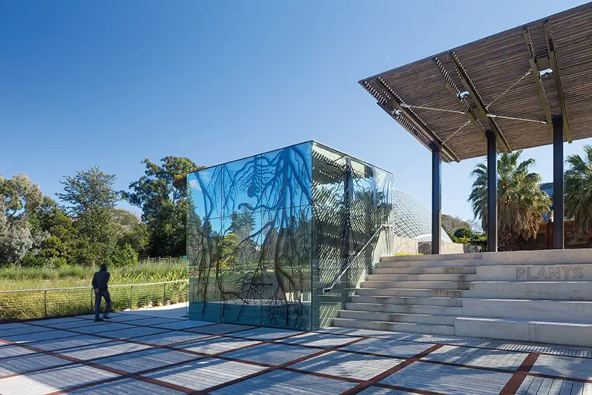 Adelaide Botanic Gardens Wetland