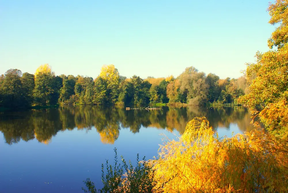 Sevenoaks Wildlife Reserve in Kent