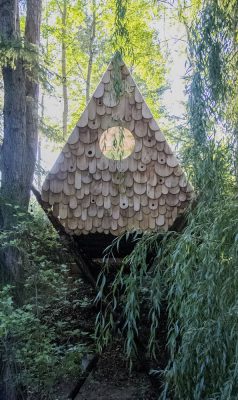 Birdhut in Windermere