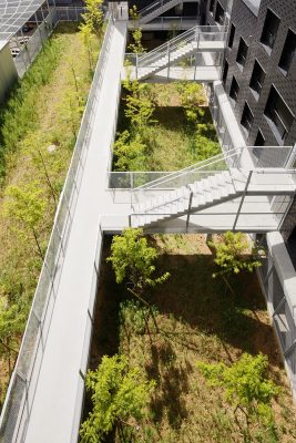 Social Housing Ivry-sur-Seine