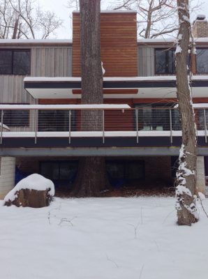 Tree House in Bethesda