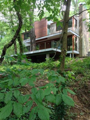 Tree House in Bethesda