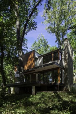 Tree House in Bethesda