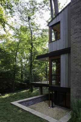 Tree House in Bethesda