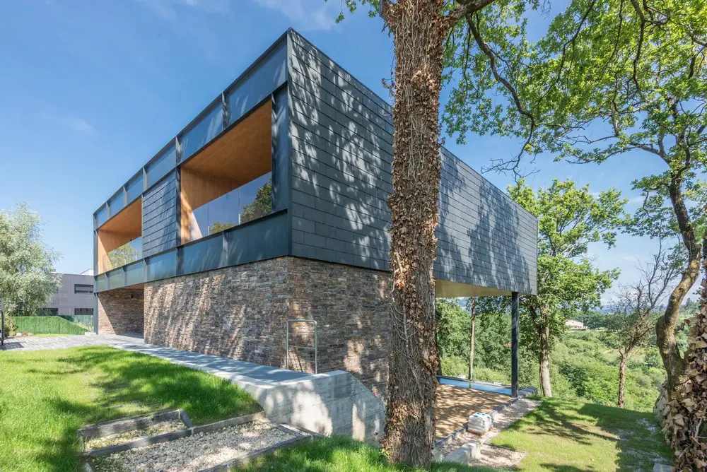 Floating among trees, Bilbao Home