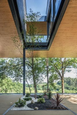 Floating among trees, Bilbao Home