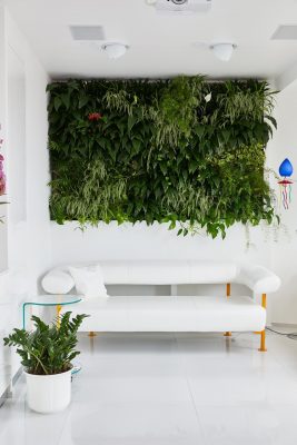 Margeza apartment in Budapest green wall